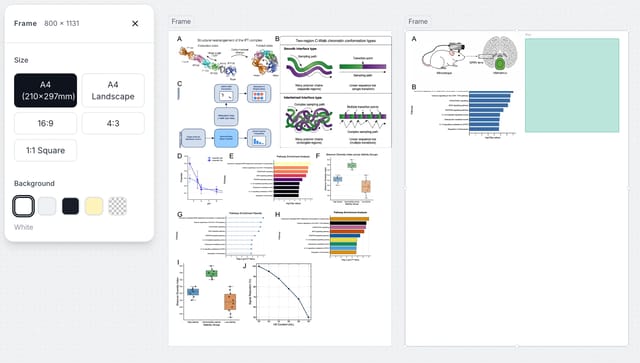 Multi-panel scientific figure layout on infinite canvas