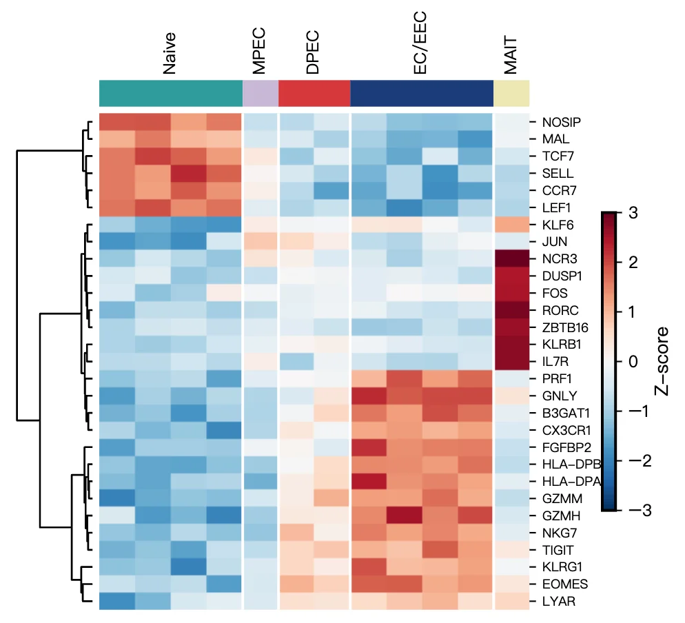rnaseq_degs.csv