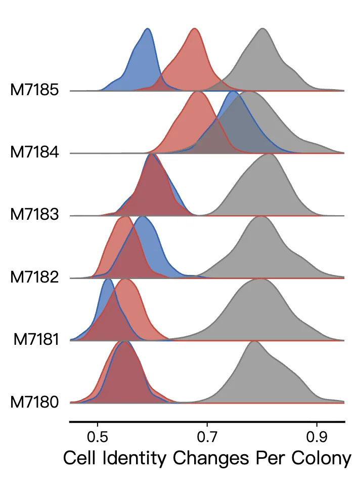Ridge plot showing cell identity distribution changes across colonies