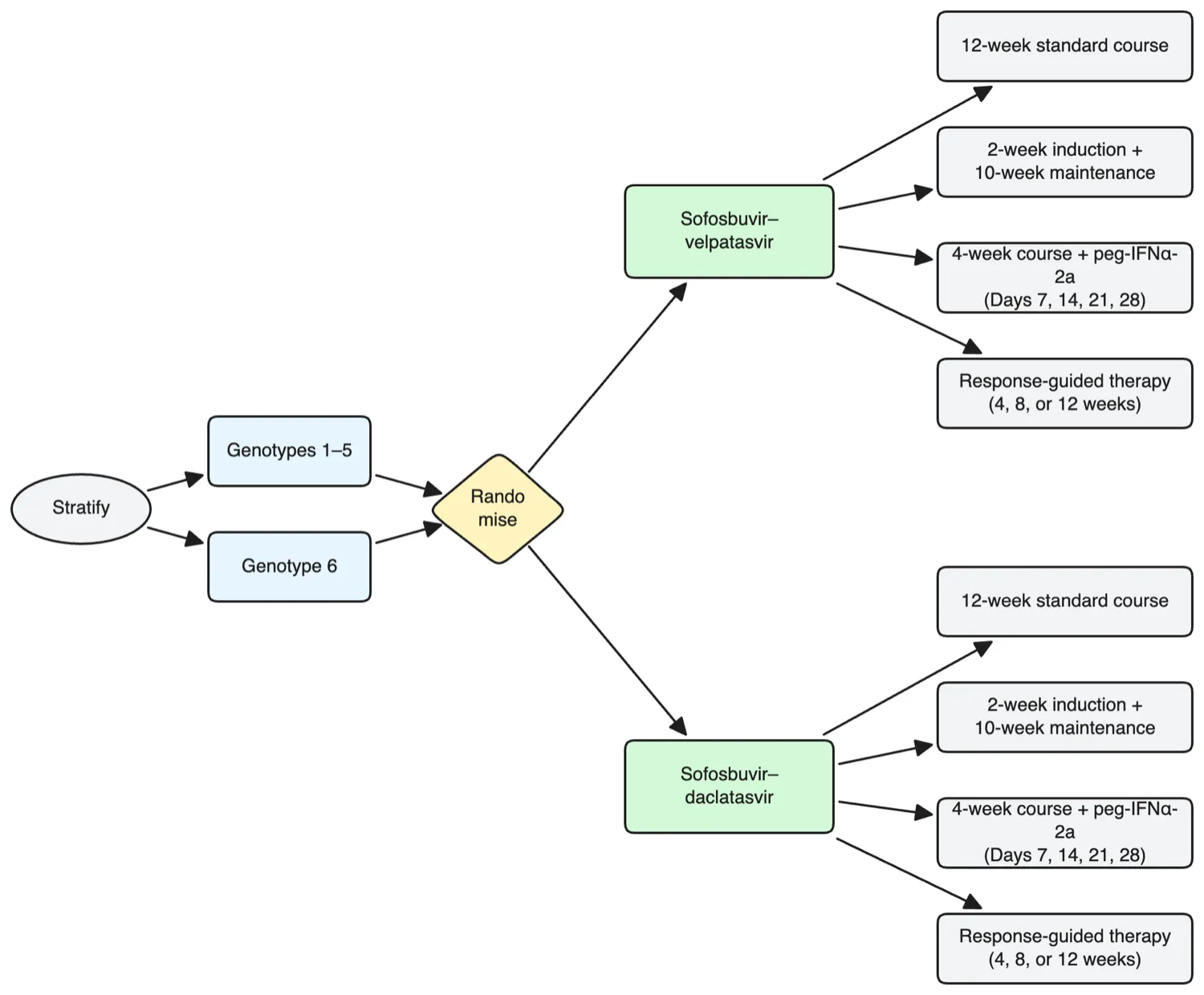 RCT drug treatment randomization flowchart with stratification