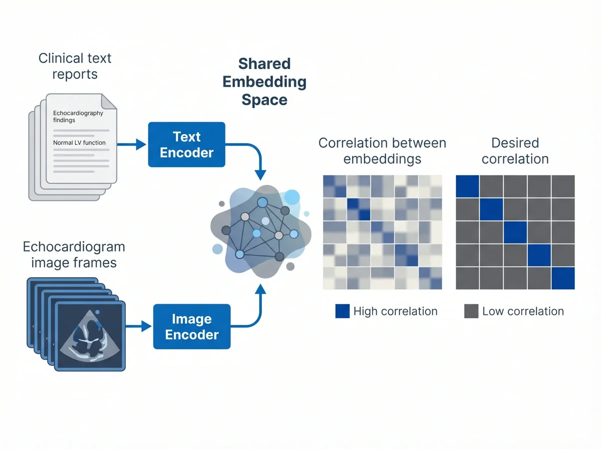 Multimodal Embedding