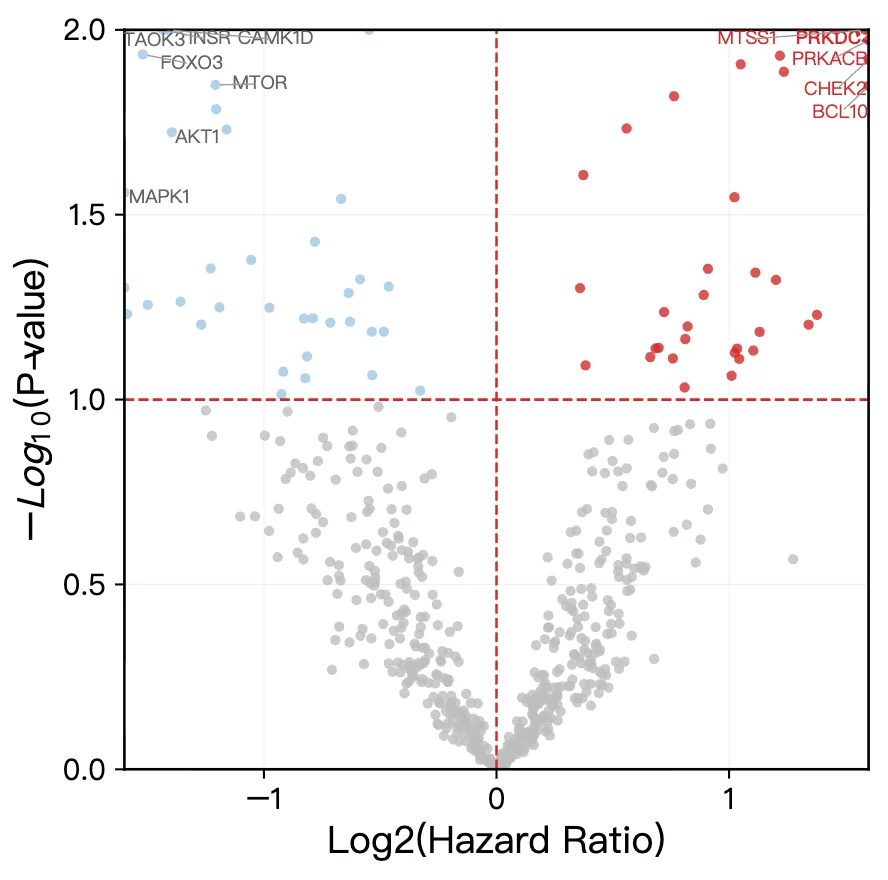 Volcano plot of hazard ratio survival analysis with gene annotations