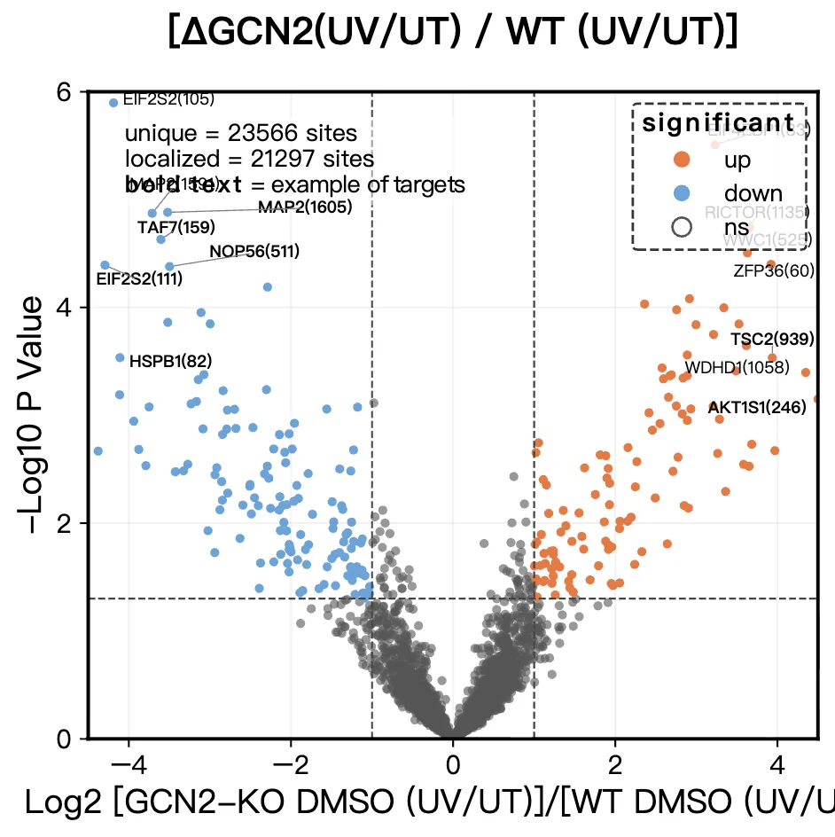 Volcano plot of GCN2-KO phosphoproteomics UV treatment analysis